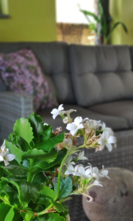 B&B Aquavert Турне Екстер'єр фото